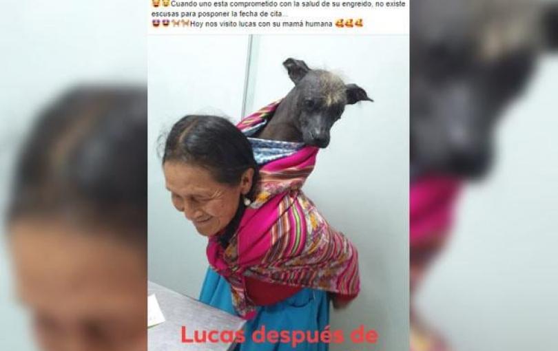 anciana enternece redes sociales anciana enternece redes sociales