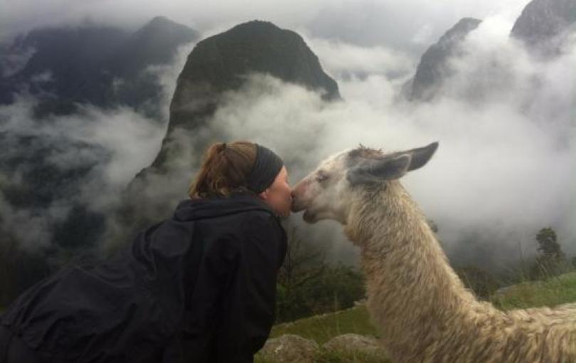 Fondo Emprendedor financiará propuesta turística ‘Llama Pack’ en Cusco LLama Pack es un emprendimiento que busca la participación de los comuneros del Valle Sagrado