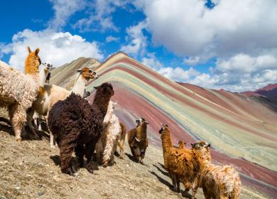 montaña de siete colores Vinincunca