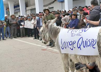 Pasean burro con el nombre de alcalde a fin de pedir su destitución